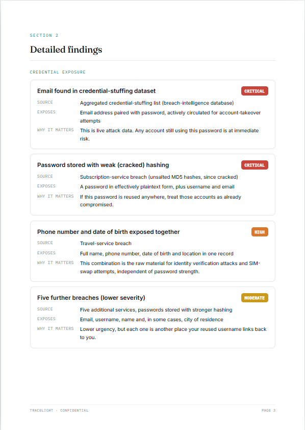 Report page showing each finding in detail with explanation of the risk